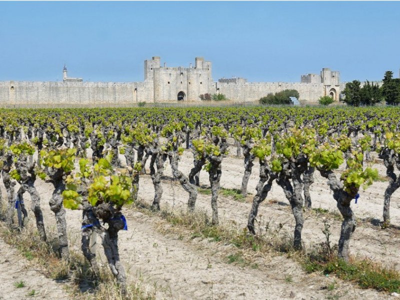 aigues_mortes_2.jpg