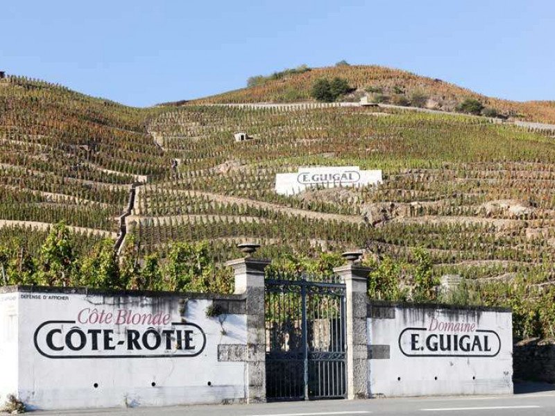 cote-rotie.jpg