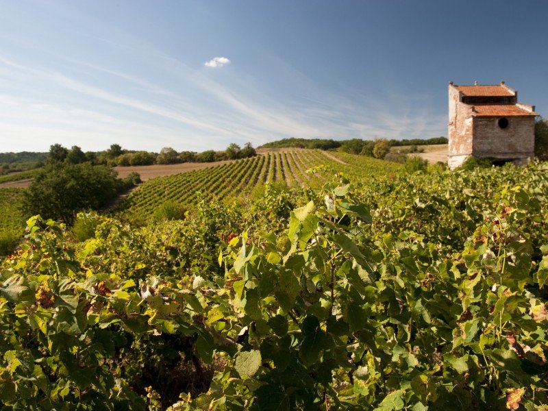 gaillac.jpg