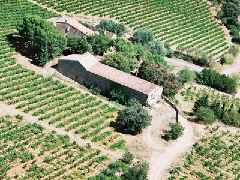 chateau pech menel 2.jpg