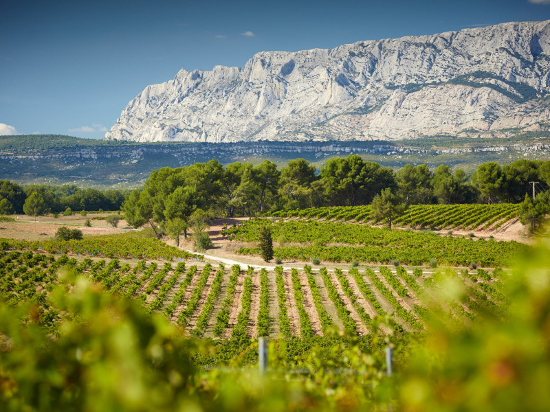 Cotes-de-Provence-Sainte-Victoire.jpg